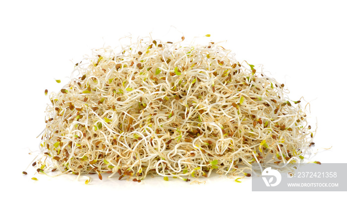 heap of alfalfa sprouts isolated on white