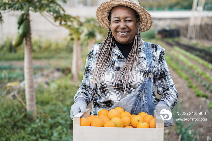 非洲资深农民妇女拿着装有新鲜有机橙子的木箱——专注于面部