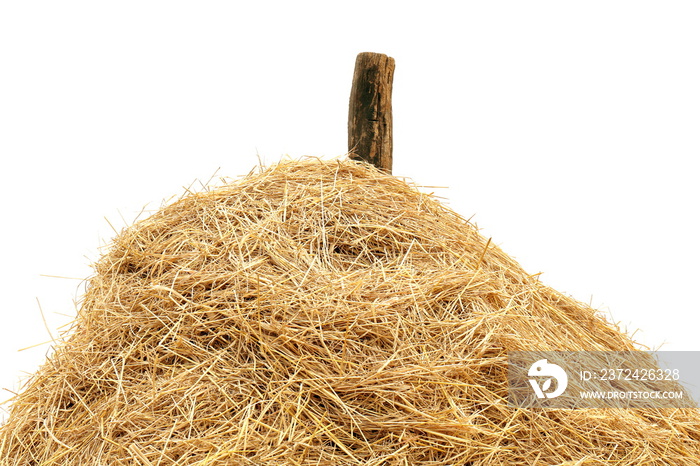 straw, straw heap close-up big, straw mountain, mountain stack hill of straw on white background