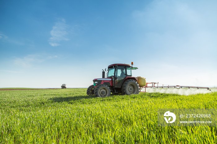 Farmer spraying green wheat field