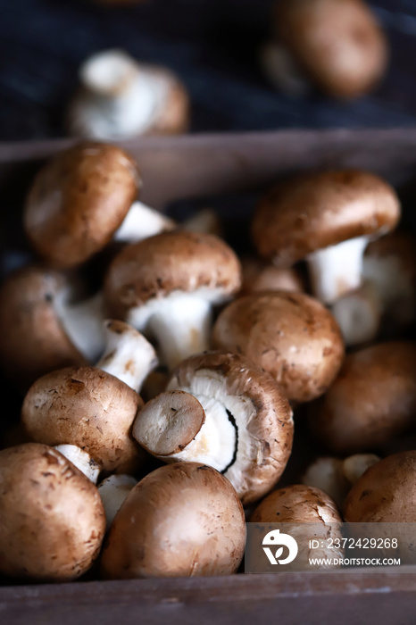 Royal champignons in a wooden box. Selective focus. Macro.