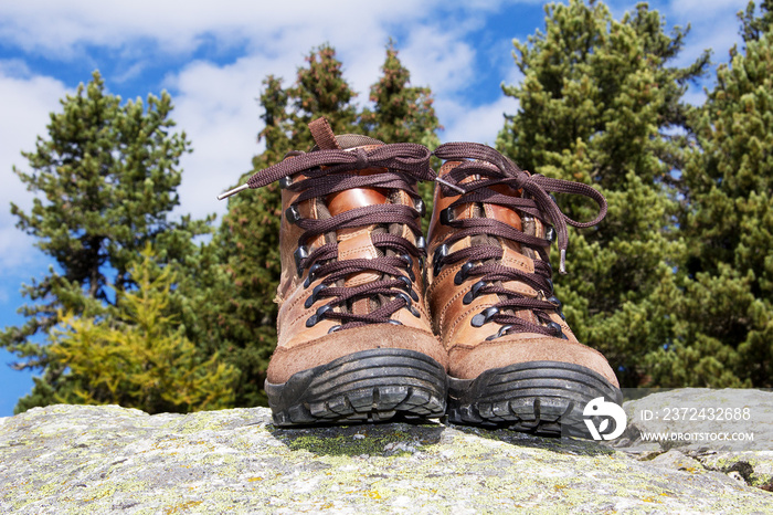 walking shoes