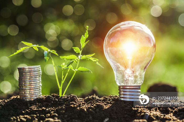 lightbulb with small tree and money stack on soil in nature sunset background. concept saving energy