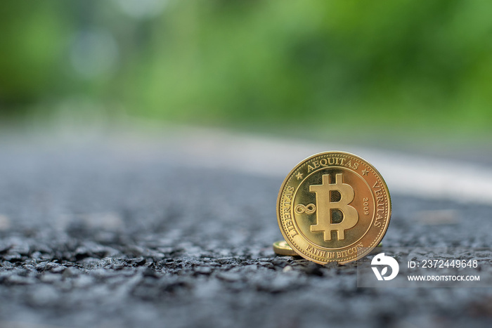 Bitcoin and Doge Cryptocurrency On the black road