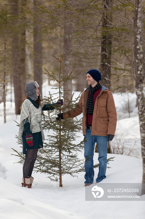 Couple with Christmas tree in snowy woods