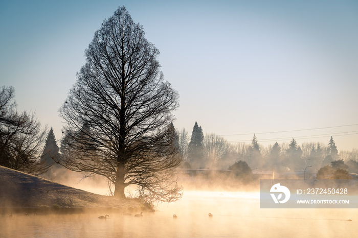 South Waikato - Tokoroa = Early morning winter sunrise