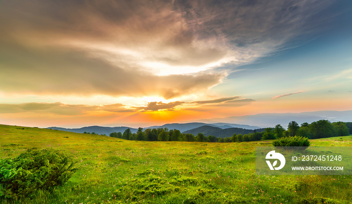 Sunset over green field