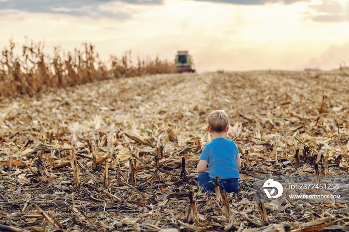 Rear view of cute little farmer boy crouching on corn field and playing. In background is harvester 