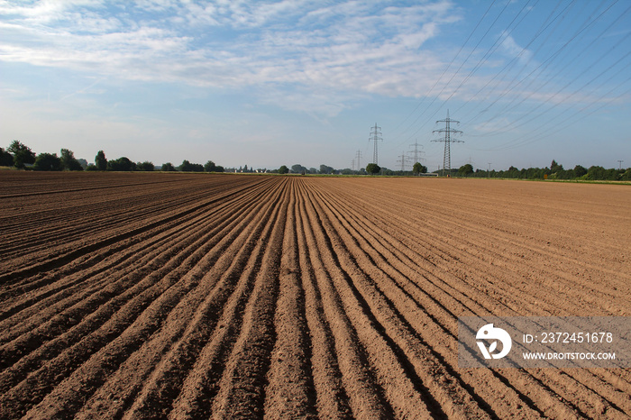 Freshly plowed field