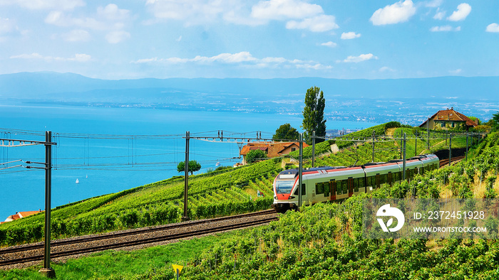 在日内瓦湖和瑞士山的Lavaux葡萄园梯田徒步小径上的铁路上运行火车