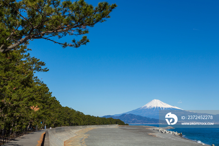 三保の松原から青空と富士山