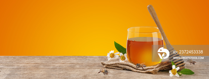 Honey in jar with bee and honey dipper on wooden table isolate on orange banner background, bee prod