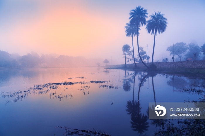 清晨湖面上的芦苇薄雾和湖面上的水面，中央邦帕奇马尔希
