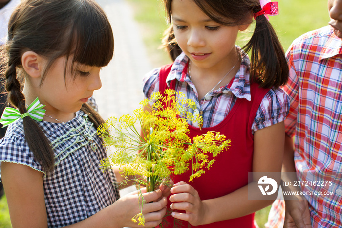 Children (6-7, 8-9) looking at yellow wildflowers