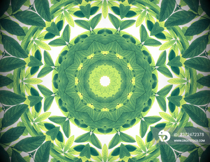 Tropical green leaves with kaleidoscope effect, mandala flora pattern abstract green color nature ba