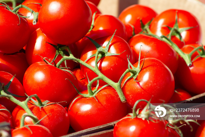 tomates sur le marché