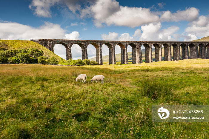 Famous Ribble Valley viaduct railway crossing seen in all its glory. Set in the heart of the Dales, 