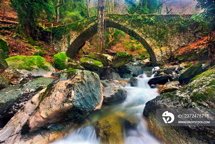 The old stone bridge (constructed in 1787) close to Tsangarada village, Pelion mountain, Magnesia pr