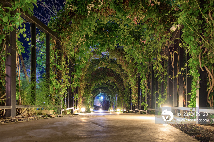 Tunnel arch pathway garden illuminate lighting