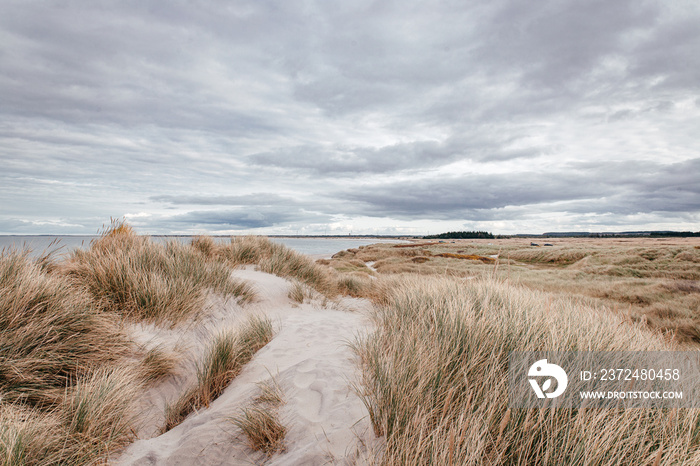 Küste an der Nordsee in Dänemark mit Bunkeranlage