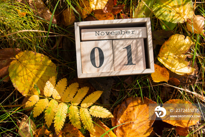 十一月好，十一月一日是秋天树叶中草地上的日历。
