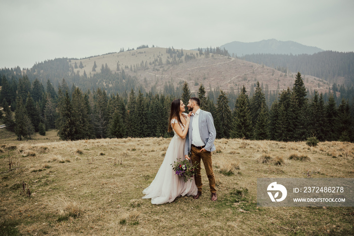 华丽的新婚夫妇在绿色松林的山上拥抱。迷人的新娘智慧