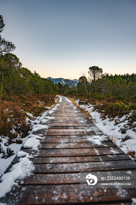 Murnauer Moos, Bohlenweg, Moorpfad, Moorweg, Moor, Weg, Holzweg, Murnau, Westried, Bayern, Deutschla