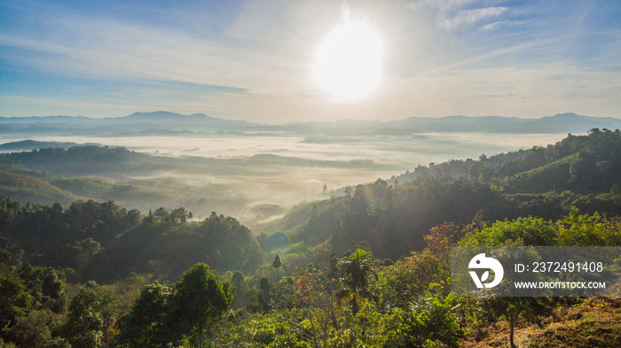 see fog in forest on hilltop inside the middle field of national park