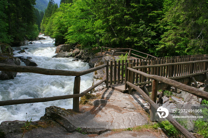 Wooden bridge in Parco Naturale Adamello Brenta near Pinzolo in South Tyrol in Italy