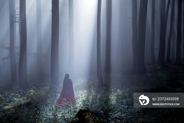 Red Riding Hood portrait in the autumn foggy forest