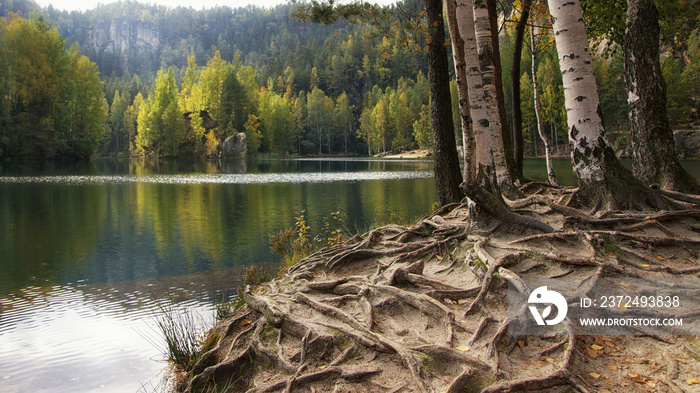 The roots and a small rocky island on a mountain lake in The Adršpach-Teplice Rocks, Bohemia, Czech 