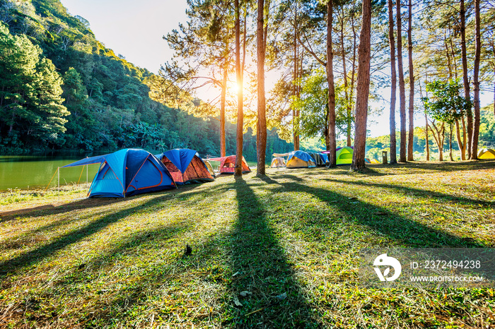 Camping tents under pine trees with sunlight at Pang Ung lake, Mae Hong Son in THAILAND.