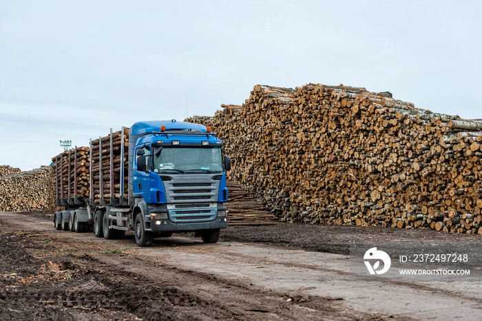 The Port of Riga. Log truck waiting list for unloading.