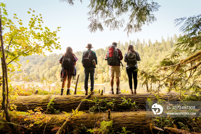 Rear view of four friends looking at river