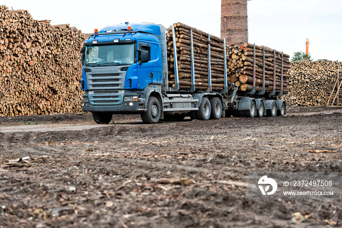 The Port of Riga. Log truck waiting list for unloading.