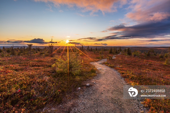 Beautiful autumn evening on the fell in Lapland, Finland, Riisitunturi