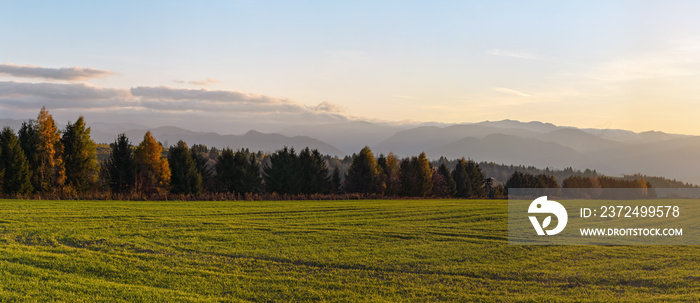 Meadow with small forest and hunters wooden high stand on autumn evening, some mountains in distance