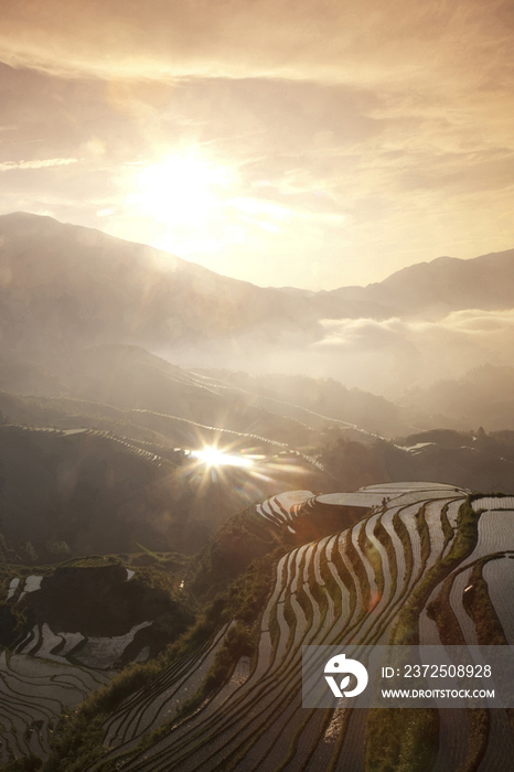 China Guangxi Province Guilin Longsheng terraced ricefields