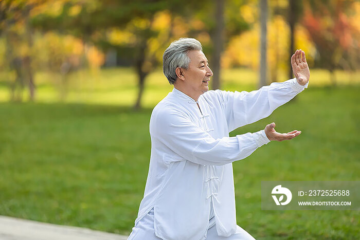 老年男子在公园练太极