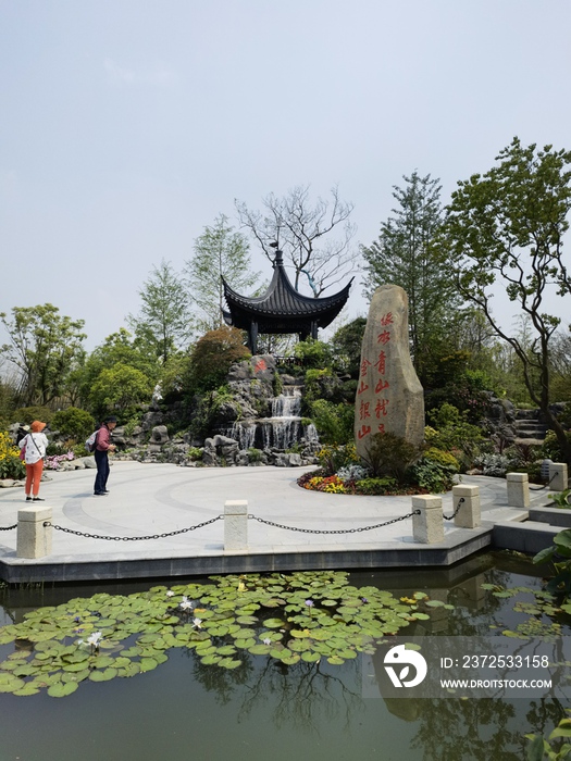 公园花园绿化植物树木花草展览景观盆景花丛