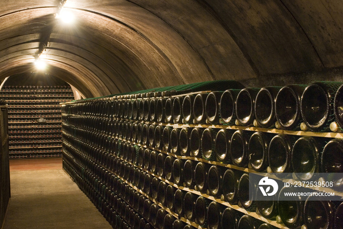 Italy, bottles in a cellar of Bellavista Wine Estate - Erbusco