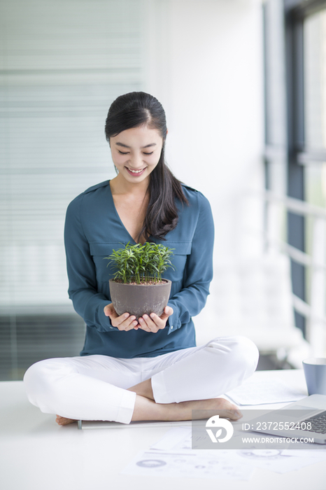 年轻商务女士抱着盆栽植物坐在办公桌上