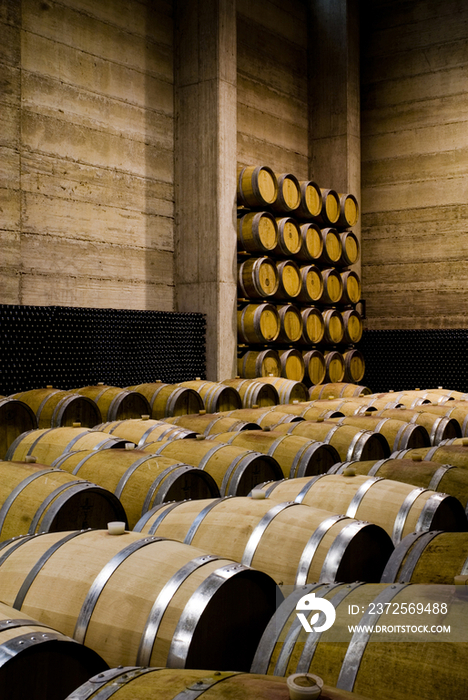 Italy, Basilicata,Winery, Barile