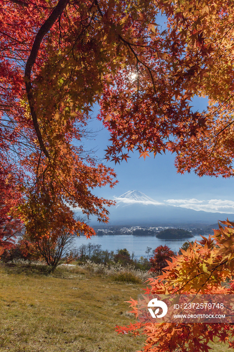 Autumn leaves and Mount Fuji,Yamanashi,Japan