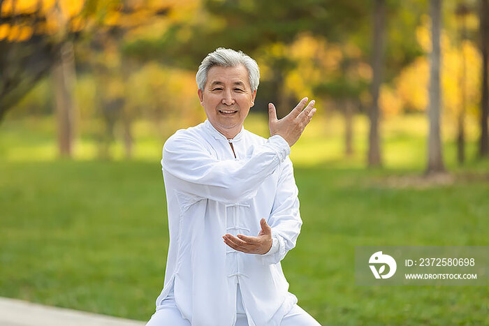 老年男子在公园练太极