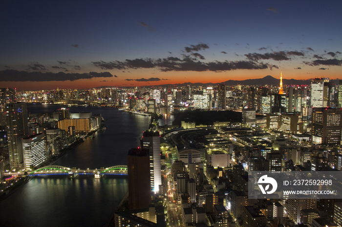 Tokyo cityscape at night, Tokyo, Japan