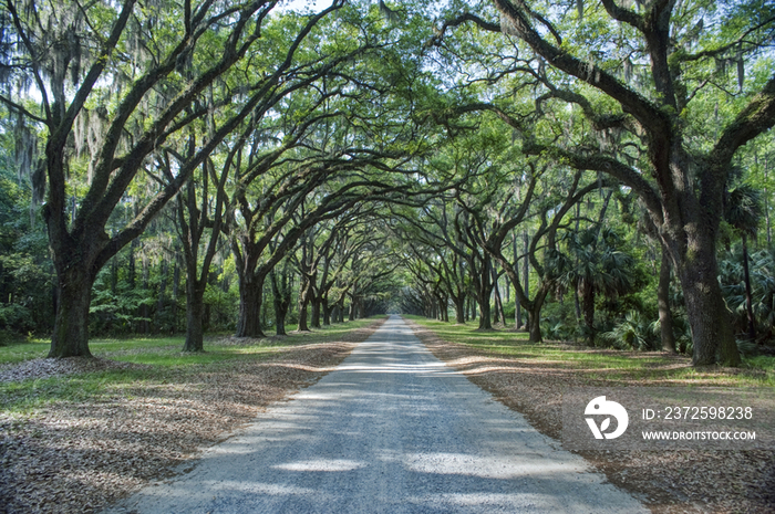 Historic plantation house and estate