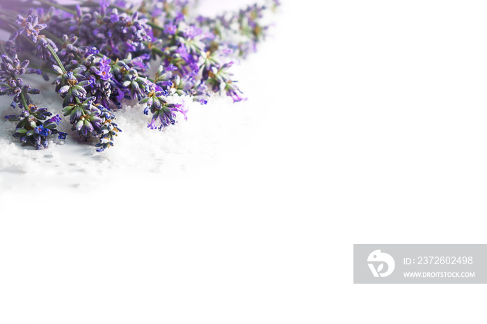 Spa massage setting with lavender flowers and cosmetic salt on white background, isolated. Close-up.