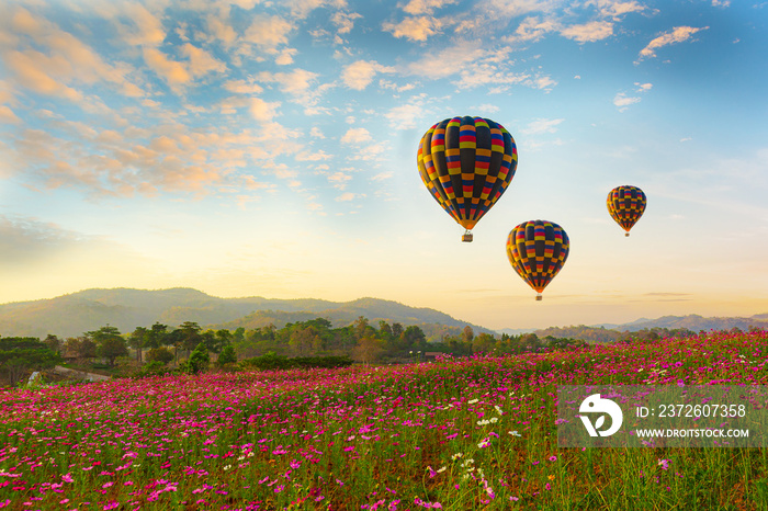 Colorful hot air balloons flying over Cosmos flower field , Vintage and retro filter effect style