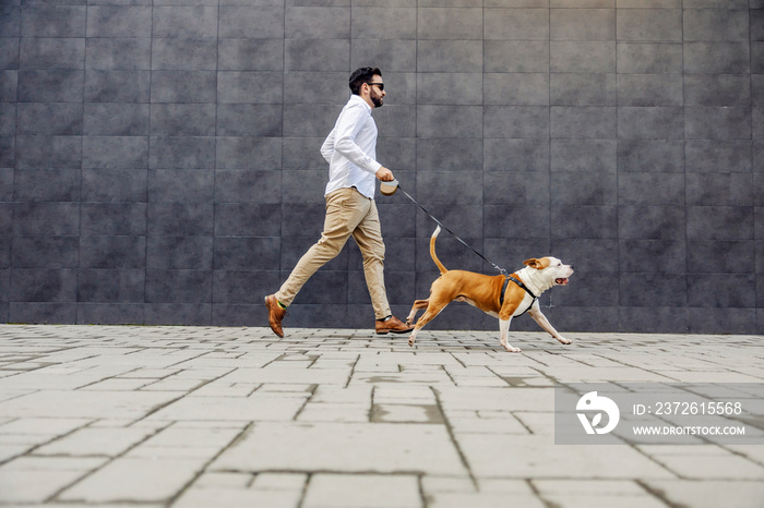 一个穿着时髦休闲装的商人带着他的狗跑步的侧视图。一只拴着皮带的狗在跑步